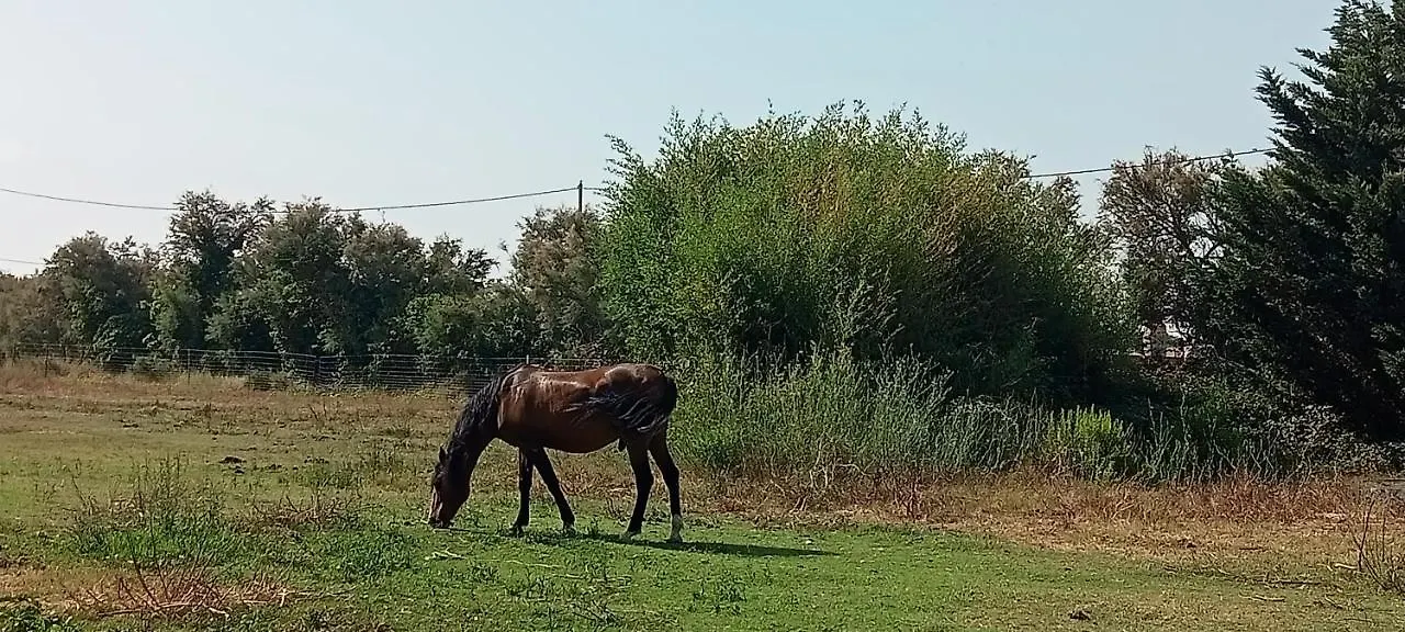 Piano Loft Turismo Rural Costa Brava-Vilanova De La Muga Διαμέρισμα
