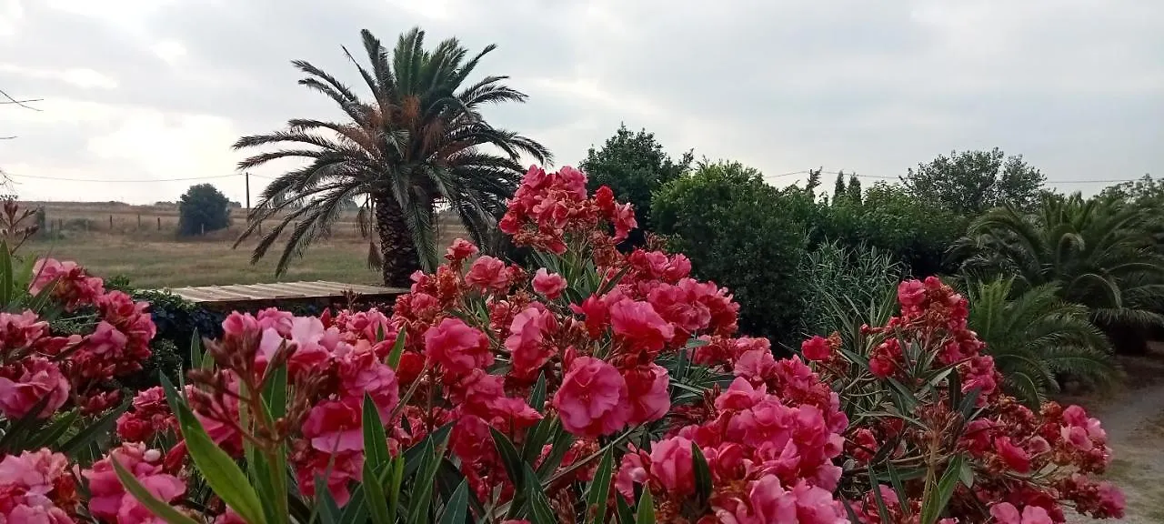 Piano Loft Turismo Rural Costa Brava-Vilanova De La Muga Διαμέρισμα 0*,