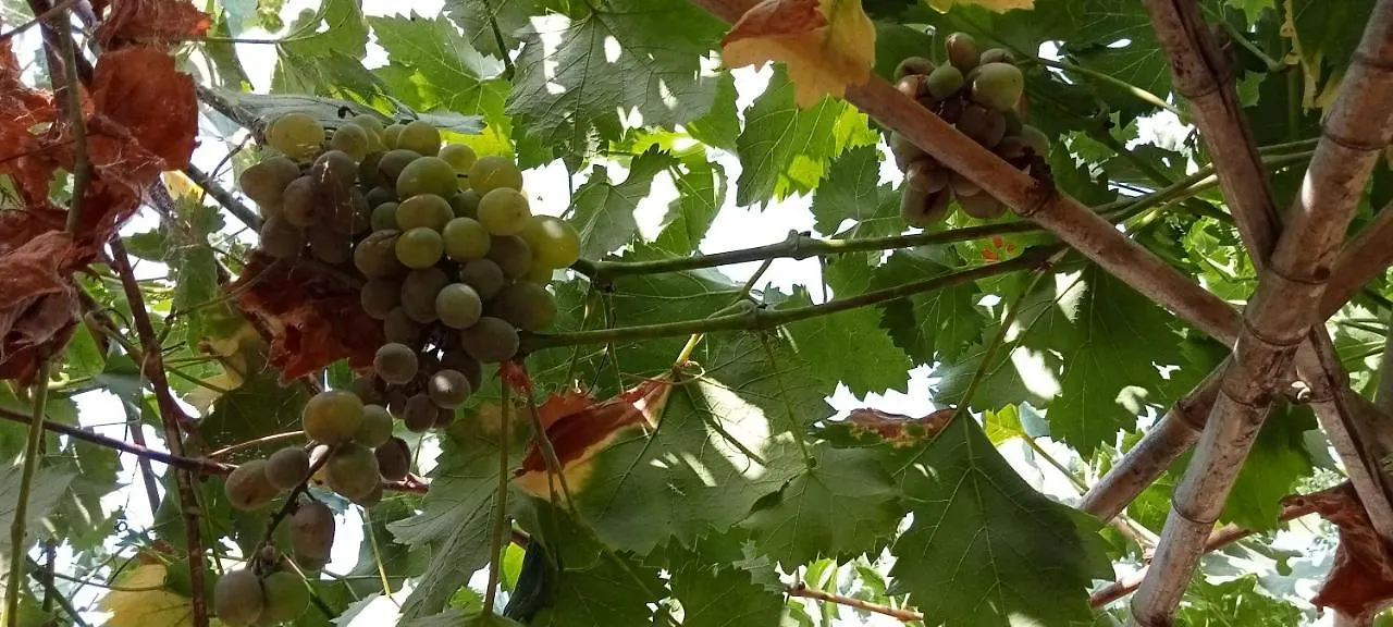 Piano Loft Turismo Rural Costa Brava-Vilanova De La Muga Διαμέρισμα